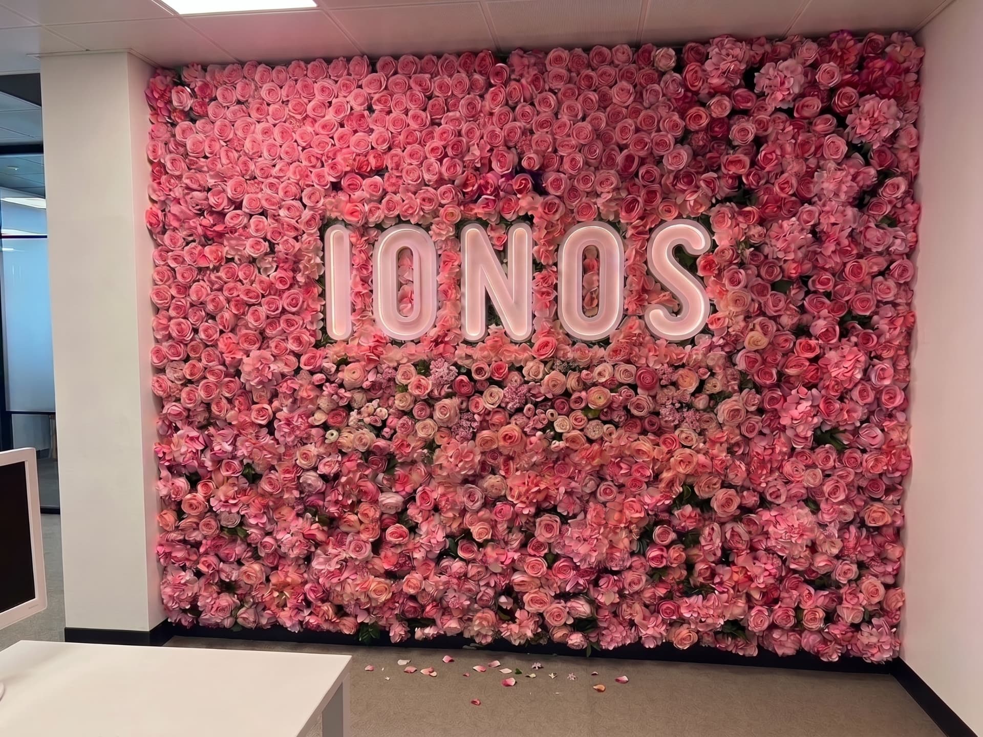 IONOS Accountancy office reception